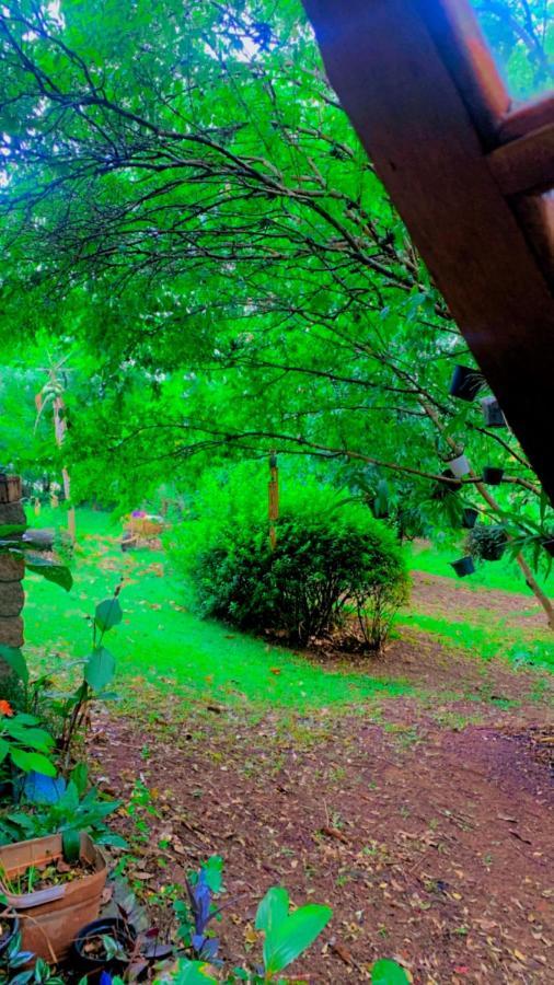 Guest house Cafe Com Morada - Cama E Cafe Jundiai
