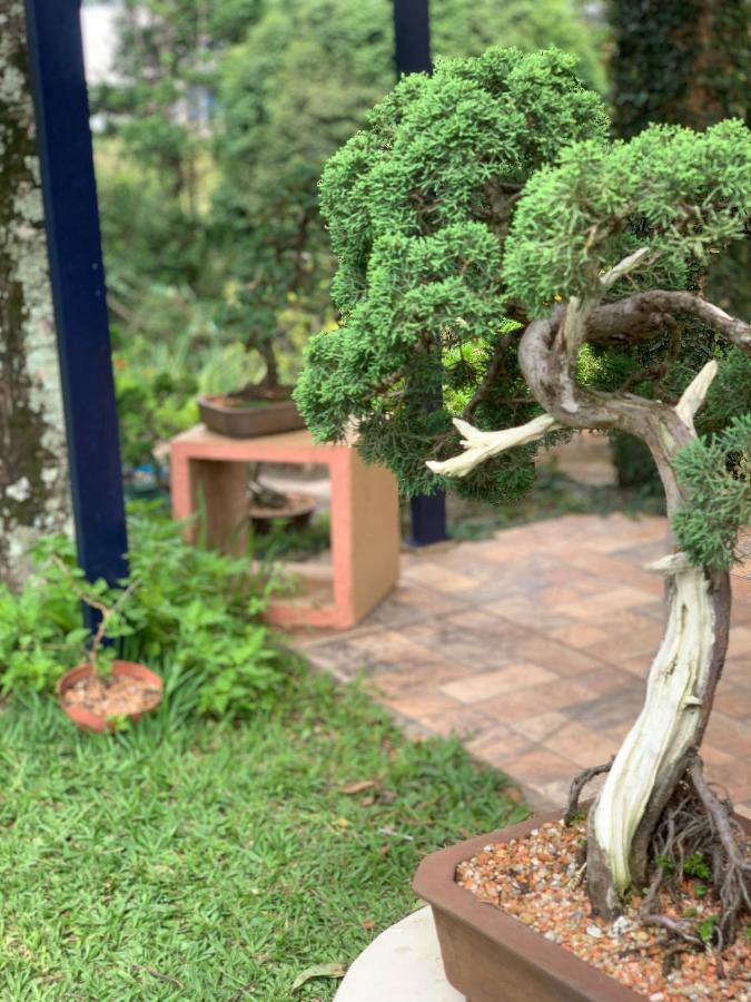 Cafe Com Morada - Cama E Cafe Guest house